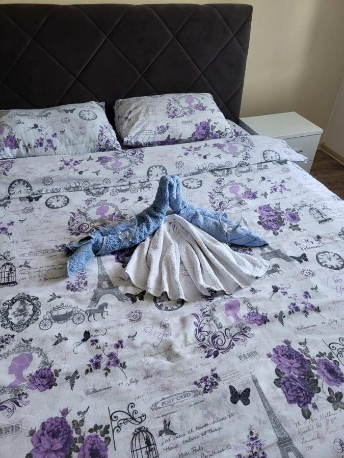 Centar_Park Apartment อารันเยโลวัคส์ ภายนอก รูปภาพ